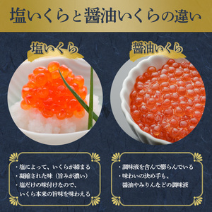 【北海道産】笹谷商店の塩いくら 500g いくら イクラ ikura 海産物 ご飯のお供 冷凍 魚卵 魚介類 F4F-3641