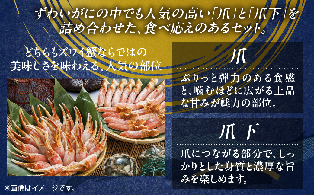 人気部位を堪能！本ずわい蟹 爪・爪下（各500ｇ）計1kg セット　殻むき済み ABB015