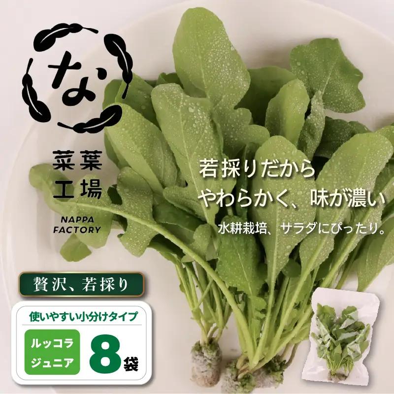 若採り ルッコラ ジュニア | サラダ 水耕 葉物 野菜 南国市
