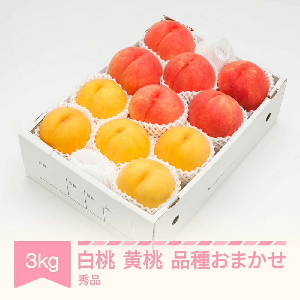 【ふるさと納税】【先行予約】 もも 白桃＆有袋黄桃 秀品 品種おまかせ 化粧箱入り 約3kg 令和8年産 2026年産 山形県産 果物 送料無料 ns-mohot3※沖縄・離島への配送不可