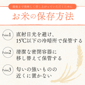 【12ヶ月定期便】 きぬひかり 10kg 令和7年産 キヌヒカリ 定期便 お米 米