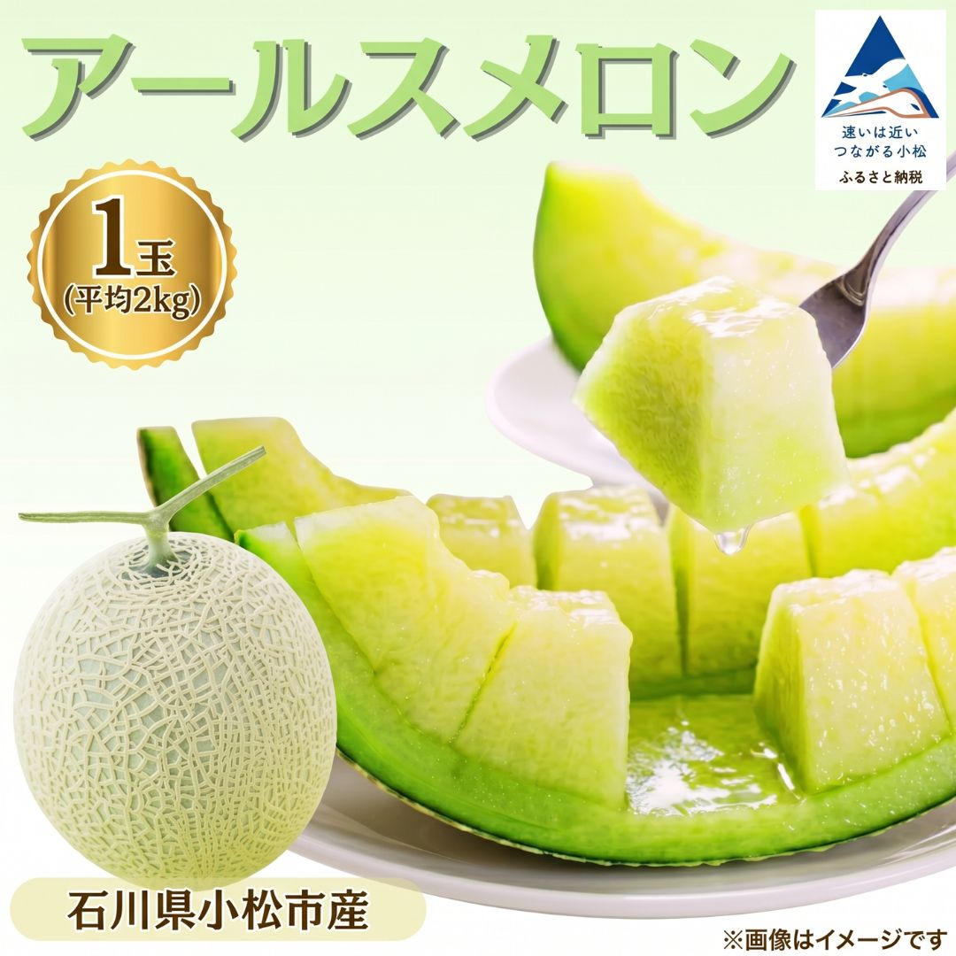 【ふるさと納税】 アールスメロン 1玉（平均2kg） マスクメロン メロン 果物 フルーツ ギフト 贈答用 名産 特産品 石川県 小松市 ar004n00 【JAあぐり】