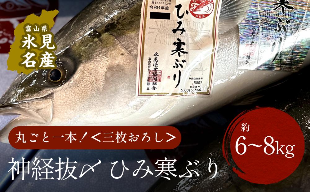 
            〈期間限定〉ひみ寒ぶり朝どれ1本【6~8kg】　三枚おろし（神経抜〆）【半七】※配送地域限定 
          