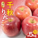 【ふるさと納税】≪先行予約≫千秋りんご約5kg・秀品　【9月下旬～10月上旬配送予定】 【山形りんご・大江町産・9月・10月】大江町産 山形りんご 千秋りんご リンゴ 林檎 フルーツ 果物 産地直送