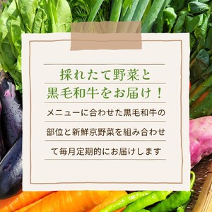 【12回定期便】地鶏・丹波黒どり＆旬の京野菜詰合せ 毎月お届けコース（全12回）※沖縄・離島・諸島へのお届け不可