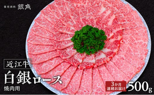 【近江牛】【定期便】白銀ロース　焼肉用　500g×3か月連続お届け　牛肉 お肉 国産 和牛 近江牛 滋賀県 米原市 ※初回は12月