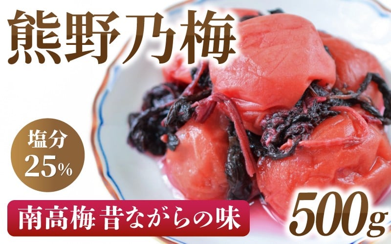 
            梅干し 南高梅 熊野乃梅 昔ながらの梅 500g×1P 塩分25％ 梅干し 梅干 梅 うめ ウメ 人気 三重県 熊野市【snby0001】
          