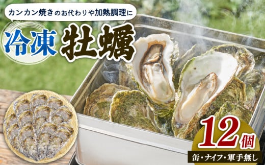 殻付かきのカンカン焼きおかわり用 加熱用 大12個 冷凍 かき 牡蠣 カキ  オイスター oyster アヒージョ バーベキュー BBQ フライ 揚げ物 鍋 ごはん 夕飯 おかず おつまみ 晩酌 米 丼 海産物 海鮮 魚介 魚介類 贈答品 お中元 お歳暮 大船渡 三陸 岩手県 国産