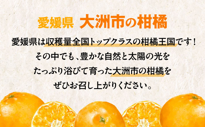 【贈答用】 早生みかん 10kg　愛媛県大洲市/有限会社西山青果 早生みかん 温州みかん みかん 果物 ギフト フルーツ [AGAR009]