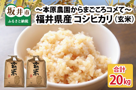 【先行予約】【令和7年産・新米】【玄米10kg×2袋】福井県産 コシヒカリ20kg ～本原農園からまごころコメて～ 【2025年10月上旬以降順次発送予定】 [D-8904_05]