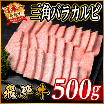 飛騨牛　三角バラカルビ焼肉　500g　タレ付き　BBQ用【配送不可地域：離島】【1745665】
