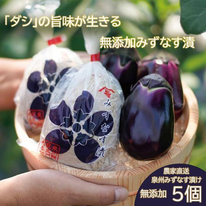 【ふるさと納税】水なす漬け5個セット（042_5003）