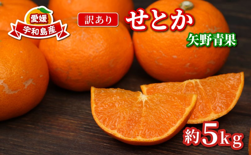 
                  愛媛県産 訳あり せとか 5kg 愛媛県宇和島市/矢野青果 柑橘 みかん せとか 果物 フルーツ [B012-171032] せとか セトカ みかん ミカン 蜜柑 果物 くだもの フルーツ 愛媛県産 宇和島市産 産地直送 おすすめ 人気 お取り寄せ 送料無料
                