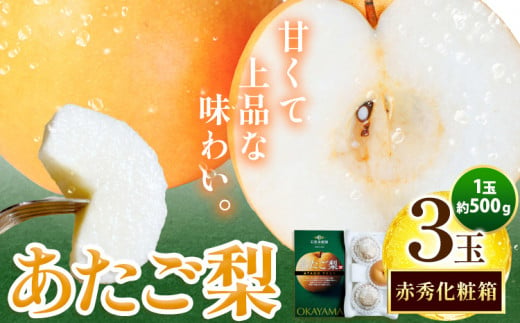 梨 なし ナシ あたご梨 約500g×3玉 化粧箱 石原果樹園 《11月下旬-12月下旬頃出荷》岡山県 浅口市 フルーツ 果物 ギフト 贈り物 国産 岡山県産 送料無料