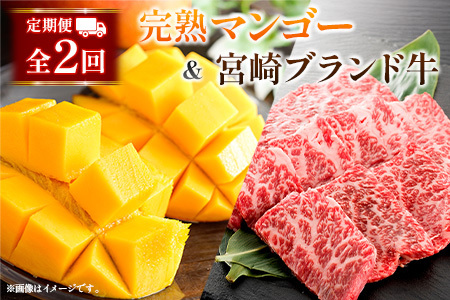 定期便 完熟マンゴー 2L×2玉 & 宮崎ブランド牛 計1kg 全2回 宮崎特産 牛肉 フルーツ 果物