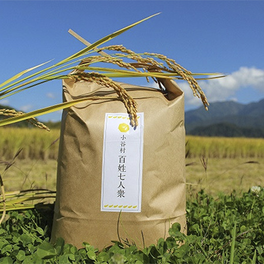 【令和7年度産】長野県小谷村百姓七人衆のあきたこまち【玄米】　10kg