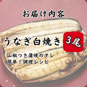 【蒲焼き用タレ付き】うなぎ白焼き140g×3尾(冷凍・真空パック)【配送不可地域：離島】【1497506】