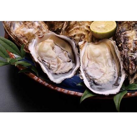 【ふるさと納税】★期間限定★＜周防大島産＞特大！天然！殻付き岩牡蠣 6個【先行受付開始！2026年5月15日以降のお届け】