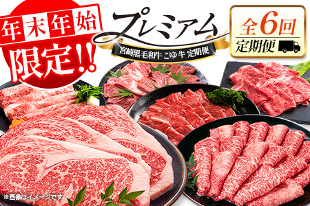 【年末年始限定】 お肉 定期便 6回 毎月 肉 E255