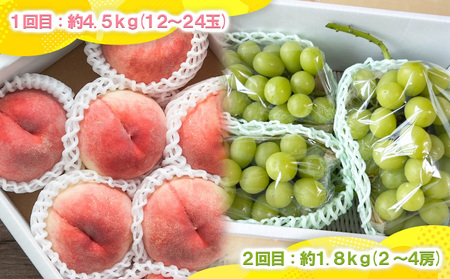 【定期便2回】山形の白桃4.5kgと大粒シャインマスカット1.8kg (2～4房) 山形直送便【令和8年産先行予約】FS25-075