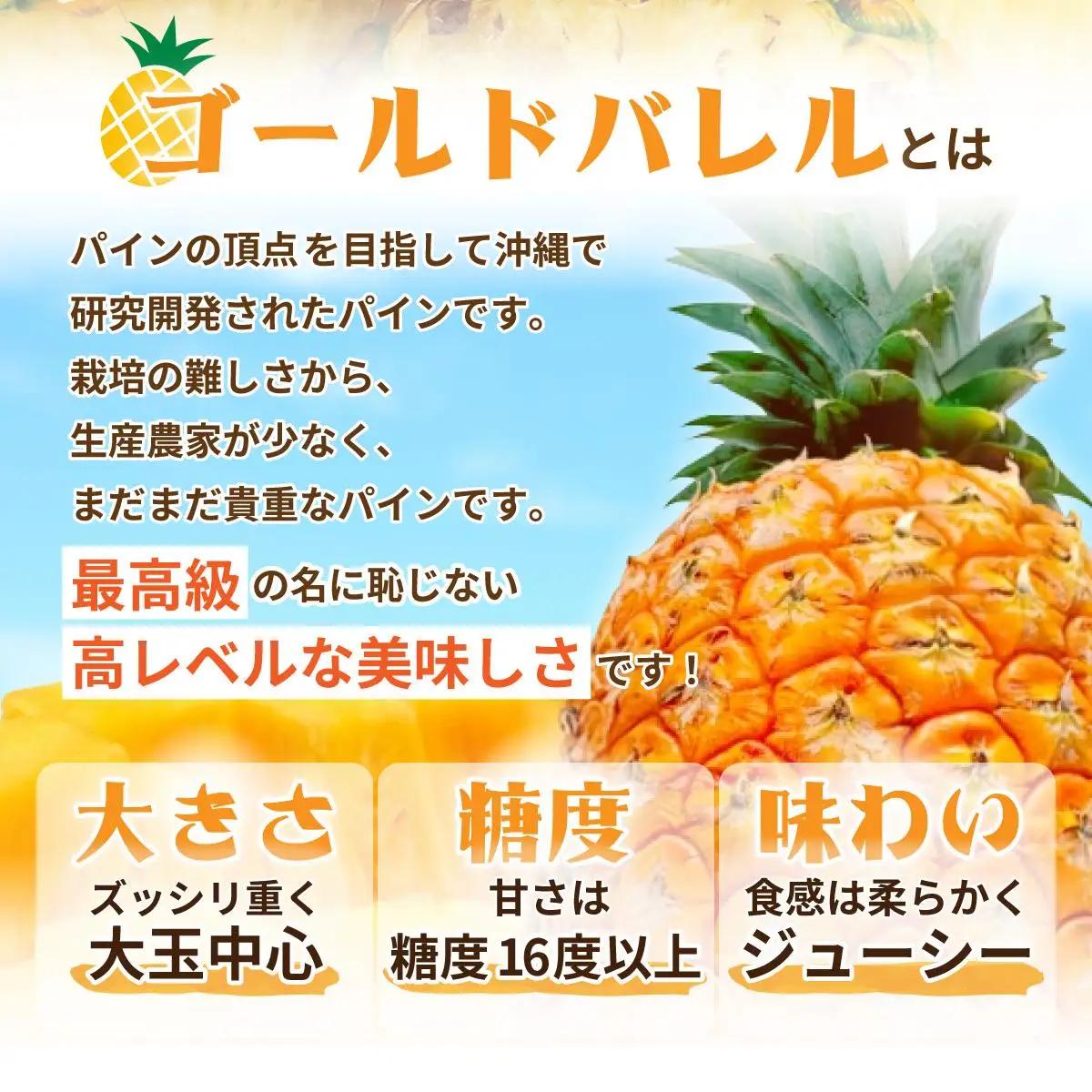 ＜先行予約＞【訳あり】石垣島産 ゴールドバレルパイン 大小混合セット 約4.5kg 　SI-7-1