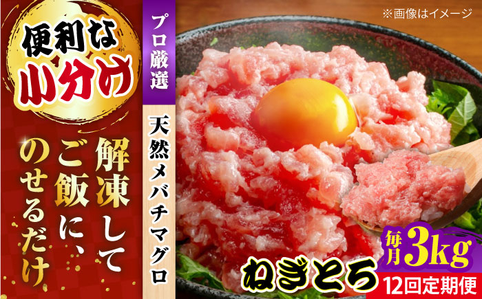 
            【全12回定期便】まぐろ ねぎとろ 約3kg（約500g×6パック） 鮪 マグロ 魚 ネギトロ 横須賀【横須賀商工会議所 おもてなしギフト事務局（本まぐろ直売所）】 [AKAK043]
          