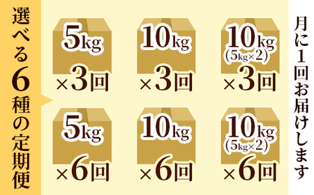 【定期便3回】聖米(玄米) 10kg（5kg×2）×3回 / 米 玄米 定期便 綾部市 / 有限会社カメイ［BSDY059］