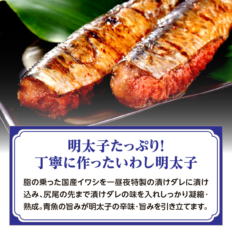 【博多漁師の里】福岡名物！いわし明太子２０尾（５尾×４パック）化粧箱入り 国産真いわし使用 化粧箱入り　国産真いわし使用 鰯 イワシ 旬 魚 めんたいこ ご飯のお供 おつまみ おかず 冷凍 真空パック