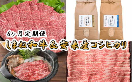 【定期便】しまね和牛&安来市産コシヒカリ6ヵ月便 ／ 新米 カルビ 肩バラ モモスライス 焼肉 すき焼き しゃぶしゃぶ お米 おいしい ご当地