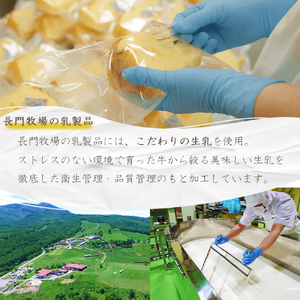 長門牧場ナチュラルチーズセットE-1　人気スイーツ　濃厚ミルク　直送　牛乳　生乳　国産　夏ギフト　長野県　贈答品　お土産　お中元　お歳暮　クリスマス