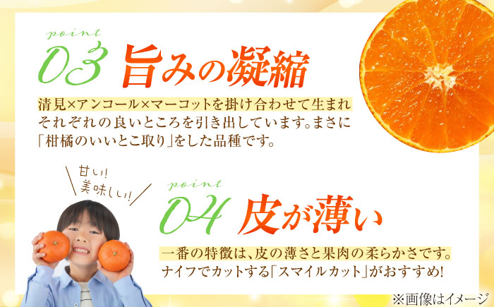 みかん 訳あり せとか 約3kg サイズ不揃い【1月下旬から2月中旬まで順次発送】/ フルーツ 果物 蜜柑 ミカン オレンジ 訳あり 訳アリ 小玉 甘い 先行予約 3kg 愛媛 / 愛媛県砥部町/株式