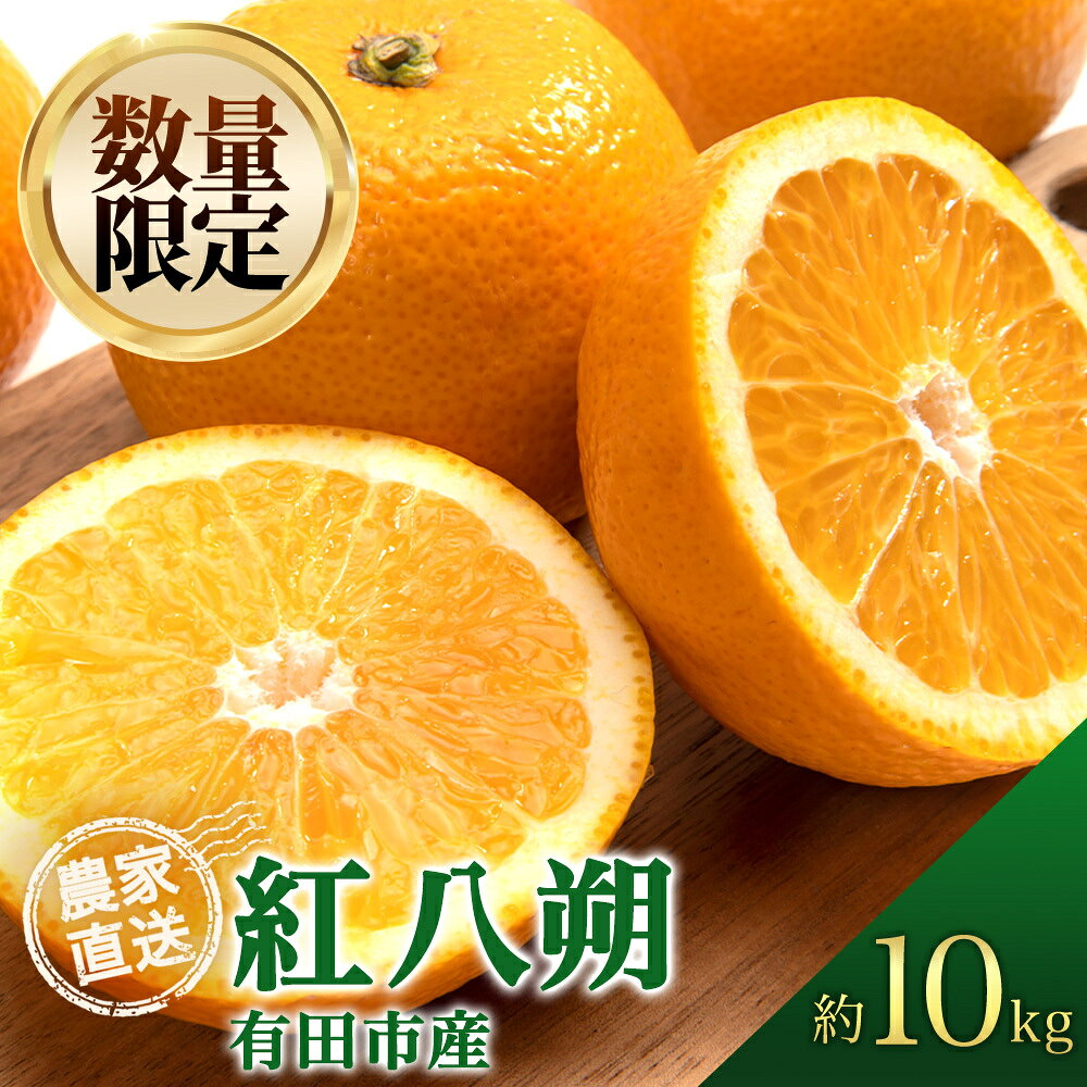 【ふるさと納税】紅八朔（べにはっさく）10kg 八朔 はっさく 柑橘 酸味 甘み バランス フルーツ 果物 くだもの みかん 人気 おすすめ 送料無料 国産 和歌山 有田市（A146-1）