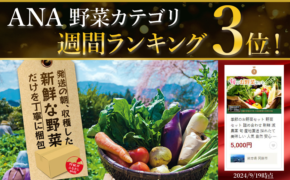 季節のお野菜セット Lサイズ 野菜 8～10品 詰め合わせ 新鮮 減農薬 旬 産地直送 採れたて 美味しい 人気 自然 安心 安全 旬 熊本 阿蘇 Lサイズ（8～11品）