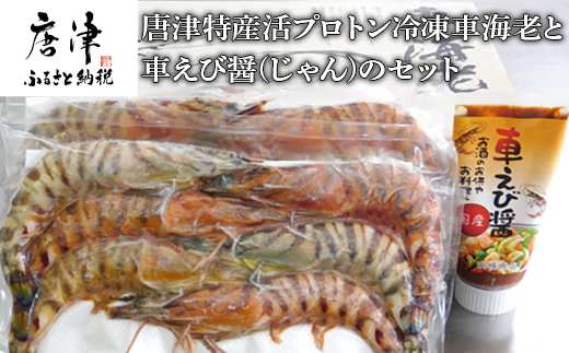 唐津特産活プロトン冷凍車海老と車えび醤(じゃん)のセット(250g×2P 醤90g) 刺身 フライ 煮付 ギフト 海鮮