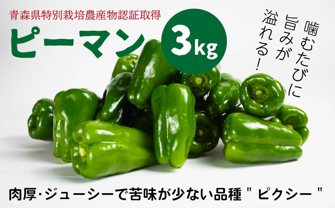 
                  【青森県特別栽培】ピーマン 3kg ピクシー 【8月上旬～10月前半発送】
                