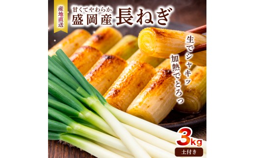 土付き長ネギ 3kg 岩手県盛岡市産 ねぎ 白ネギ 葱 野菜 新鮮 国産 産地直送 農家直送 長持ち 保存 土付きねぎ 土付 白ねぎ ながねぎ 旬の野菜 甘い 美味しい おいしい 鍋 薬味 味噌汁 焼き鳥 炒め物 料理 備蓄 自宅用 産直 厳選 滝澤農園直送 とれたて 岩手県 盛岡市 東北 岩手 盛岡 滝澤農園