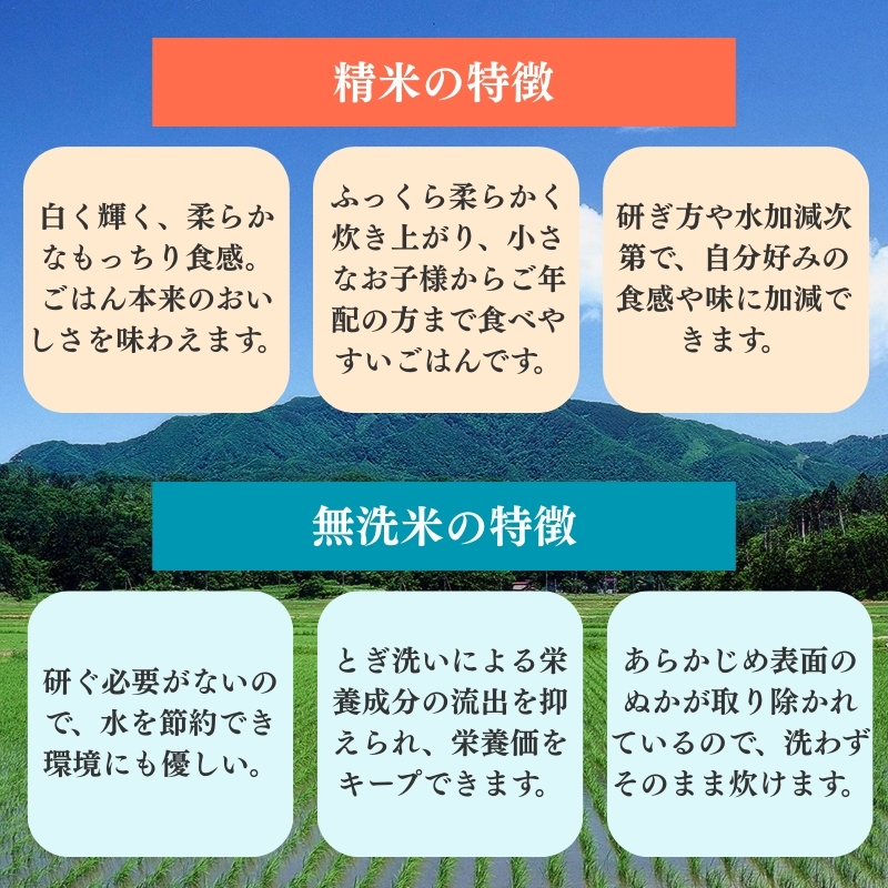 令和7年産 食味鑑定士厳選 新潟県上越柿崎区厳選 こしひか