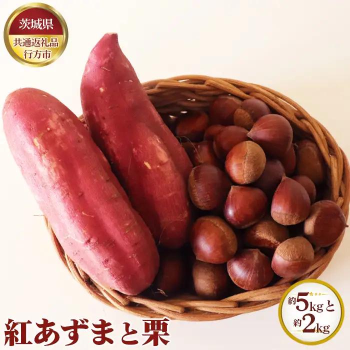 【先行予約】紅あずま 約5kgと栗 約2kg【茨城県共通返礼品 行方市】 No.635