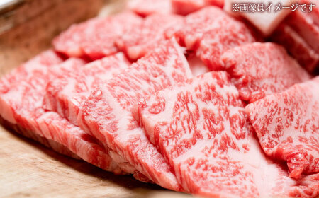 くまもと 黒毛和牛 和王 肩ロース 焼肉用 約800g（約400g×2P）ロース焼肉[AYBR027]