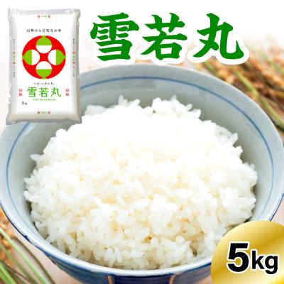 ふるさと納税 米沢市  《先行予約》※2027年1月発送分※ 【令和8年産】 雪若丸  5kg 〔精米〕