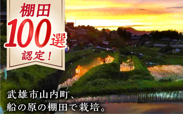 【自然農法で育てた特別栽培米】令和5年産 ヒノヒカリ 玄米 6kg（3kg×2袋）/永尾 忠則 [UAS006] 棚田米 棚田玄米 米 お米