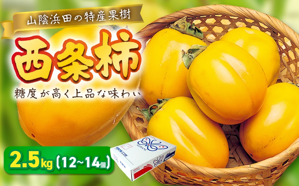 
                  【先行予約】山陰浜田の特産果樹「西条柿」（あわせ柿）2.5kg ＜10月上旬以降のお届け＞【010_1943】
                