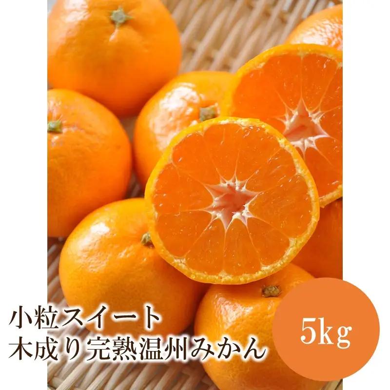 小粒スイート 木成り完熟温州みかん5kg≪先行予約≫2026年12月より順次発送予定【1361】