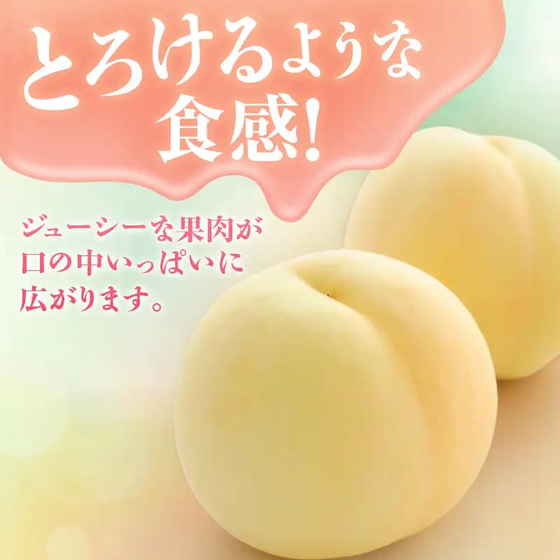 【2026年先行受付】 白桃 ニューピオーネ 約1.2kg セット 桃 2玉 ぶどう 1房 岡山県産  御中元 ギフト 御礼 プレゼント 御礼 御祝 御供 果物 くだもの フルーツ もも モモ 葡萄 