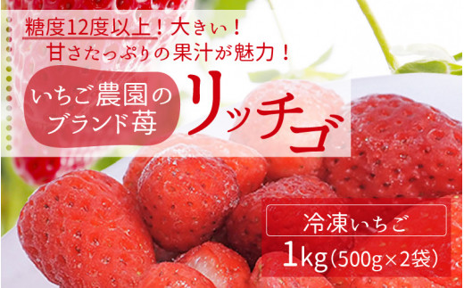 
いちご農園のブランド苺【リッチゴ】(冷凍いちご×1kg)|
