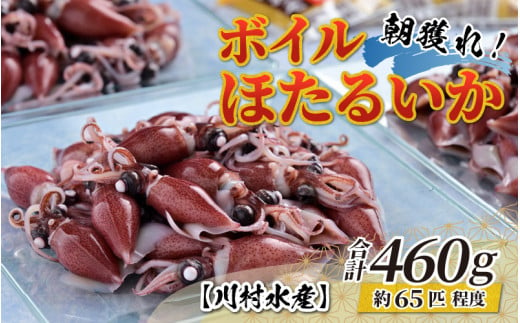 ボイルほたるいか【先行予約】鶴瓶の家族に乾杯で放送5.13　※着日指定は備考欄へ　※25年3月中旬以降順次発送予定【(株)川村水産】