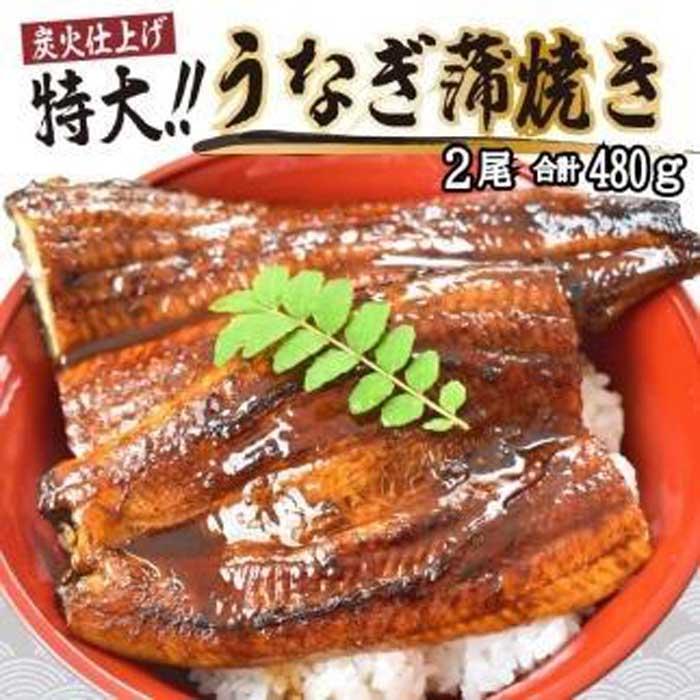 【ふるさと納税】うなぎ蒲焼き2尾入り 480g（蒲焼たれ4袋 山椒付き）【KS5】 | 和歌山県 高野町 和歌山 高野山 カット鰻 鰻 カット ウナギ うな重 ひつまぶし かばやき 冷凍
