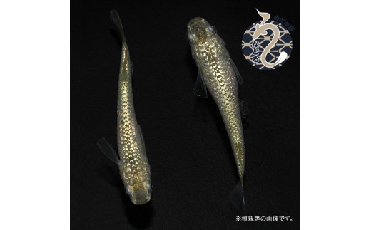 すずらん