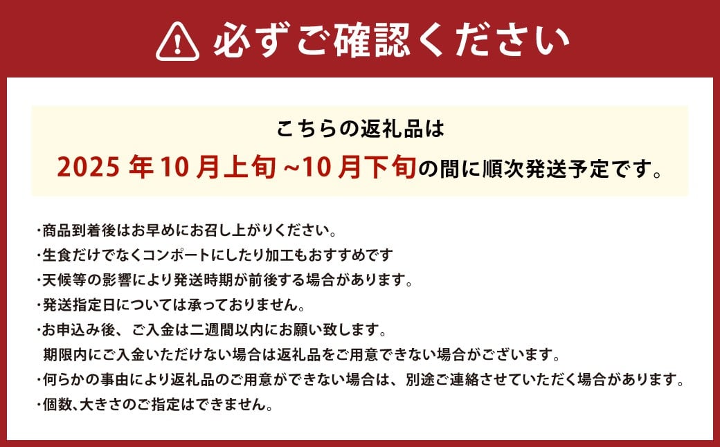 りんご陽光中箱（4～5kg） 10～12個入り りんご リンゴ 林檎 くだもの 果物 フルーツ 愛媛県 （530-1）