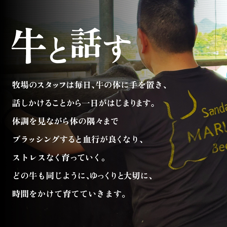 【ふるさと納税】 三田 マルセ牛 特選 厚切り ロース ステーキ 約270ｇ×２枚 贅沢 ボリューム 豪華 満足 勢戸 牛肉 ギフト 肉 お祝い 但馬牛 神戸牛 三田牛 数量限定 訳あり ふるさと納税